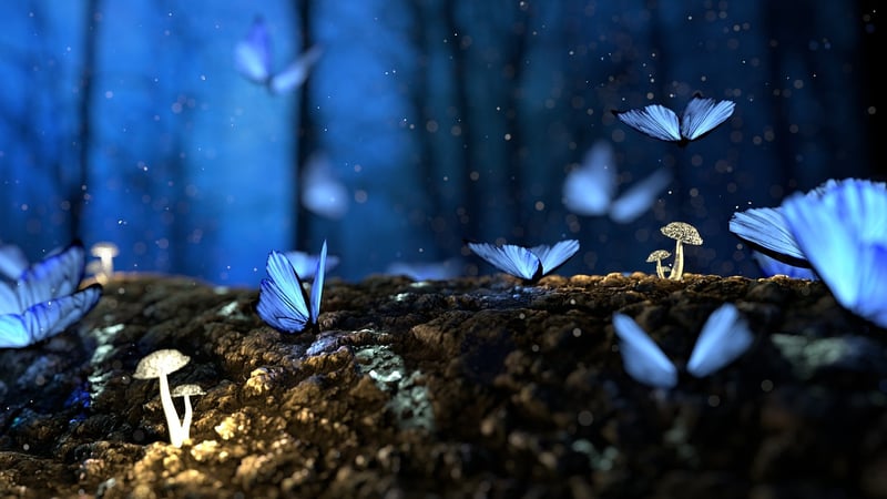Magical Clearing